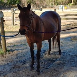 Meet your Posher, Sharon